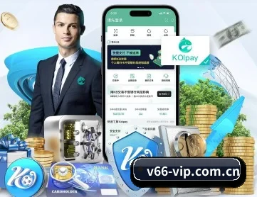 V66体育 APP 深度功能